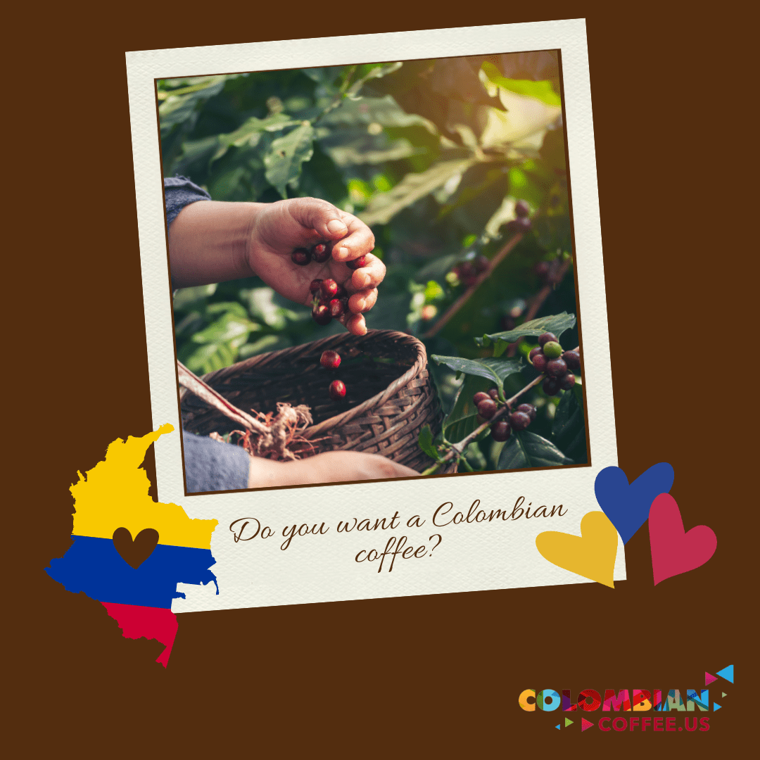 The Hidden Treasure of Coffee: Unraveling the Mystery of the Colombian Coffee Shortage - colombiancoffeeus