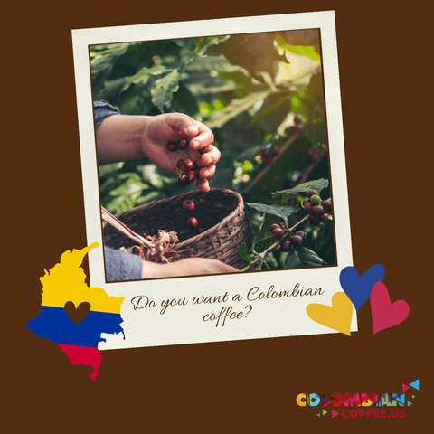 The Hidden Treasure of Coffee: Unraveling the Mystery of the Colombian Coffee Shortage - colombiancoffeeus