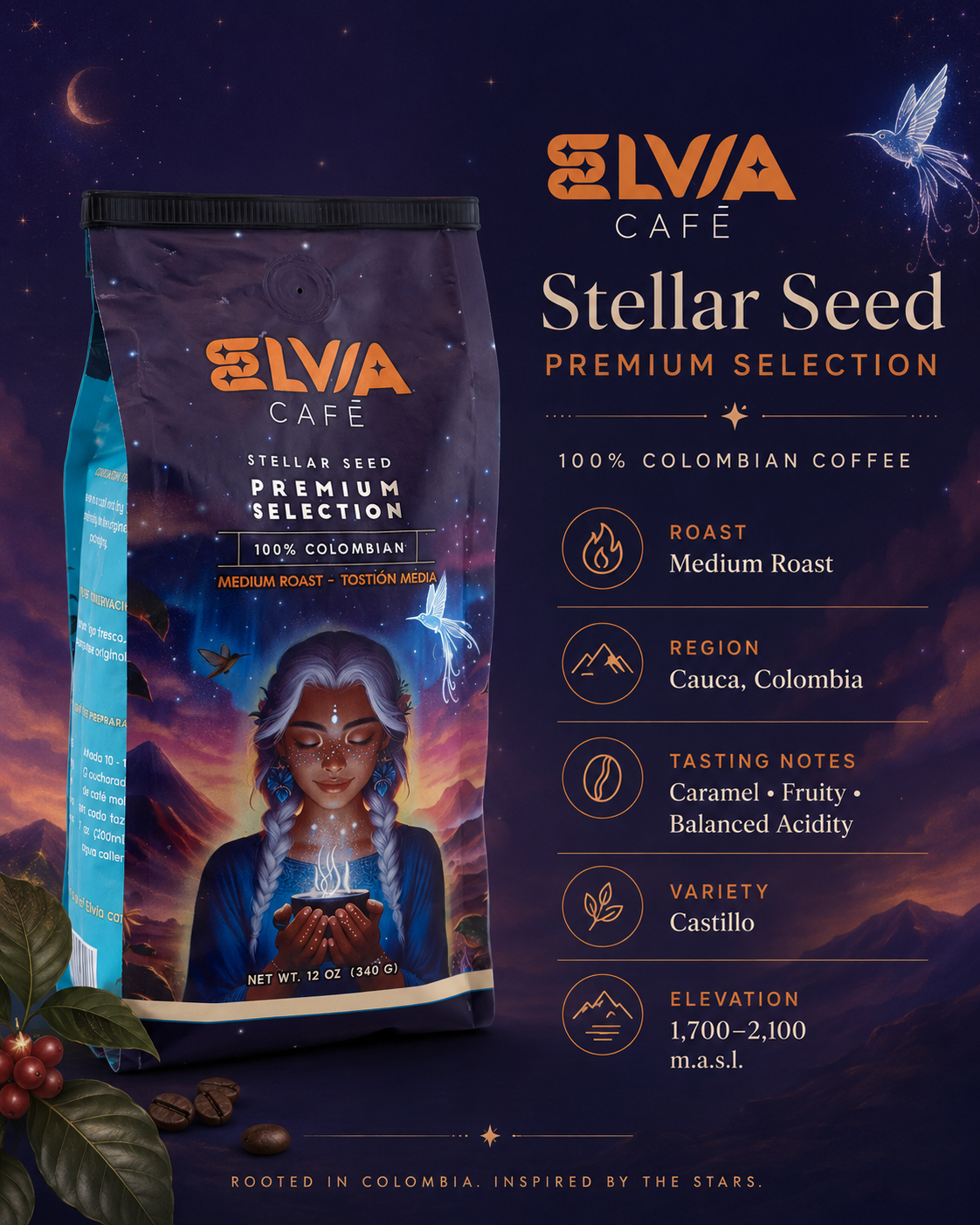 Elvia Coffee Castillo Special Whole Beans